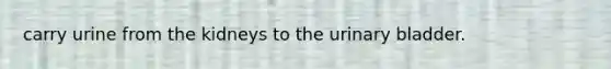 carry urine from the kidneys to the urinary bladder.