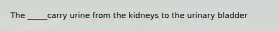 The _____carry urine from the kidneys to the urinary bladder