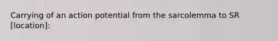 Carrying of an action potential from the sarcolemma to SR [location]: