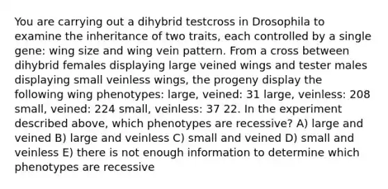 You are carrying out a dihybrid testcross in Drosophila to examine the inheritance of two traits, each controlled by a single gene: wing size and wing vein pattern. From a cross between dihybrid females displaying large veined wings and tester males displaying small veinless wings, the progeny display the following wing phenotypes: large, veined: 31 large, veinless: 208 small, veined: 224 small, veinless: 37 22. In the experiment described above, which phenotypes are recessive? A) large and veined B) large and veinless C) small and veined D) small and veinless E) there is not enough information to determine which phenotypes are recessive