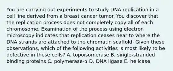 You are carrying out experiments to study DNA replication in a cell line derived from a breast cancer tumor. You discover that the replication process does not completely copy all of each chromosome. Examination of the process using electron microscopy indicates that replication ceases near to where the DNA strands are attached to the chromatin scaffold. Given these observations, which of the following activities is most likely to be defective in these cells? A. topoisomerase B. single-stranded binding proteins C. polymerase-α D. DNA ligase E. helicase