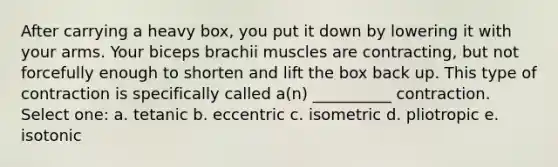 After carrying a heavy box, you put it down by lowering it with your arms. Your biceps brachii muscles are contracting, but not forcefully enough to shorten and lift the box back up. This type of contraction is specifically called a(n) __________ contraction. Select one: a. tetanic b. eccentric c. isometric d. pliotropic e. isotonic