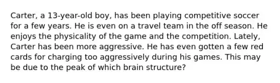 Carter, a 13-year-old boy, has been playing competitive soccer for a few years. He is even on a travel team in the off season. He enjoys the physicality of the game and the competition. Lately, Carter has been more aggressive. He has even gotten a few red cards for charging too aggressively during his games. This may be due to the peak of which brain structure?