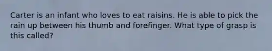 Carter is an infant who loves to eat raisins. He is able to pick the rain up between his thumb and forefinger. What type of grasp is this called?