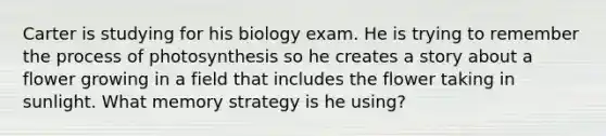 Carter is studying for his biology exam. He is trying to remember the process of photosynthesis so he creates a story about a flower growing in a field that includes the flower taking in sunlight. What memory strategy is he using?