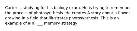 Carter is studying for his biology exam. He is trying to remember the process of photosynthesis. He creates A story about a flower growing in a field that illustrates photosynthesis. This is an example of a(n) ___ memory strategy