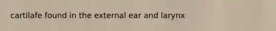 cartilafe found in the external ear and larynx