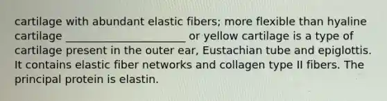 cartilage with abundant elastic fibers; more flexible than hyaline cartilage ______________________ or yellow cartilage is a type of cartilage present in the outer ear, Eustachian tube and epiglottis. It contains elastic fiber networks and collagen type II fibers. The principal protein is elastin.