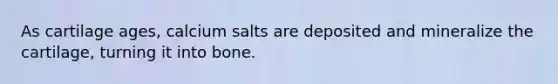 As cartilage ages, calcium salts are deposited and mineralize the cartilage, turning it into bone.