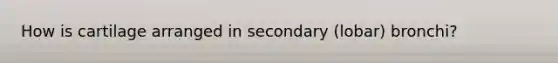 How is cartilage arranged in secondary (lobar) bronchi?