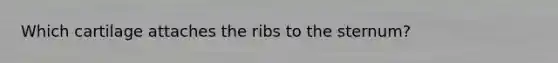 Which cartilage attaches the ribs to the sternum?