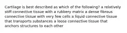 Cartilage is best described as which of the following? a relatively stiff connective tissue with a rubbery matrix a dense fibrous connective tissue with very few cells a liquid connective tissue that transports substances a loose connective tissue that anchors structures to each other