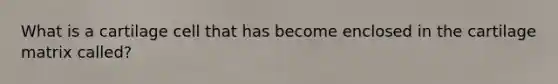 What is a cartilage cell that has become enclosed in the cartilage matrix called?