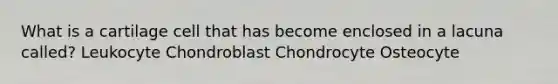 What is a cartilage cell that has become enclosed in a lacuna called? Leukocyte Chondroblast Chondrocyte Osteocyte