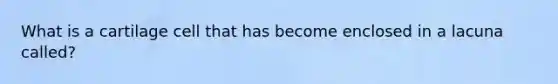 What is a cartilage cell that has become enclosed in a lacuna called?