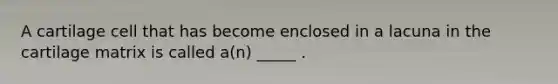 A cartilage cell that has become enclosed in a lacuna in the cartilage matrix is called a(n) _____ .