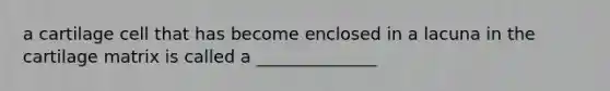 a cartilage cell that has become enclosed in a lacuna in the cartilage matrix is called a ______________