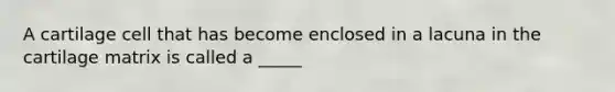 A cartilage cell that has become enclosed in a lacuna in the cartilage matrix is called a _____