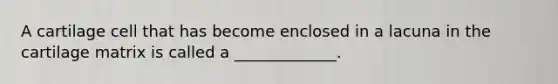 A cartilage cell that has become enclosed in a lacuna in the cartilage matrix is called a _____________.