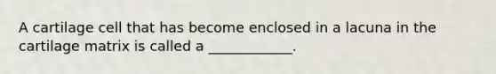 A cartilage cell that has become enclosed in a lacuna in the cartilage matrix is called a ____________.