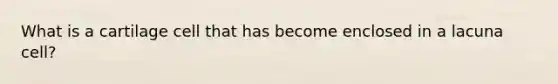 What is a cartilage cell that has become enclosed in a lacuna cell?