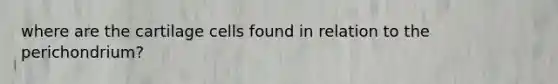 where are the cartilage cells found in relation to the perichondrium?