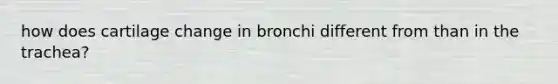 how does cartilage change in bronchi different from than in the trachea?