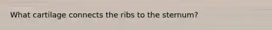 What cartilage connects the ribs to the sternum?