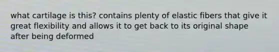 what cartilage is this? contains plenty of elastic fibers that give it great flexibility and allows it to get back to its original shape after being deformed