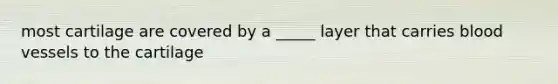 most cartilage are covered by a _____ layer that carries blood vessels to the cartilage