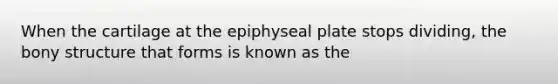 When the cartilage at the epiphyseal plate stops dividing, the bony structure that forms is known as the