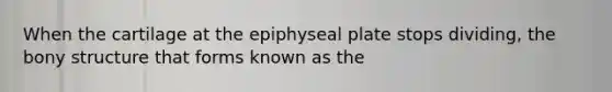 When the cartilage at the epiphyseal plate stops dividing, the bony structure that forms known as the