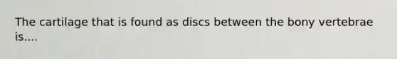 The cartilage that is found as discs between the bony vertebrae is....