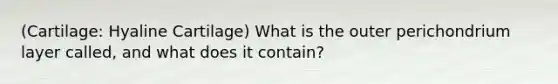 (Cartilage: Hyaline Cartilage) What is the outer perichondrium layer called, and what does it contain?