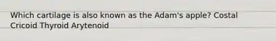 Which cartilage is also known as the Adam's apple? Costal Cricoid Thyroid Arytenoid