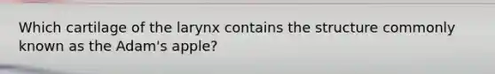 Which cartilage of the larynx contains the structure commonly known as the Adam's apple?