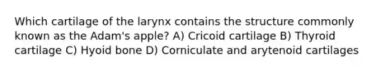 Which cartilage of the larynx contains the structure commonly known as the Adam's apple? A) Cricoid cartilage B) Thyroid cartilage C) Hyoid bone D) Corniculate and arytenoid cartilages