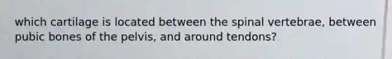 which cartilage is located between the spinal vertebrae, between pubic bones of the pelvis, and around tendons?