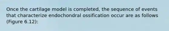 Once the cartilage model is completed, the sequence of events that characterize endochondral ossification occur are as follows (Figure 6.12):