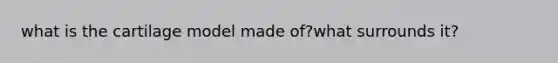 what is the cartilage model made of?what surrounds it?