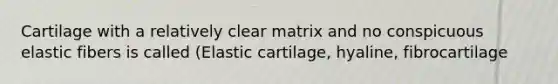 Cartilage with a relatively clear matrix and no conspicuous elastic fibers is called (Elastic cartilage, hyaline, fibrocartilage