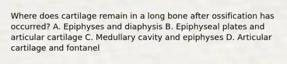 Where does cartilage remain in a long bone after ossification has occurred? A. Epiphyses and diaphysis B. Epiphyseal plates and articular cartilage C. Medullary cavity and epiphyses D. Articular cartilage and fontanel