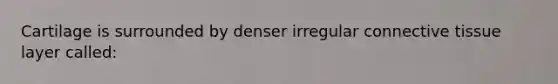 Cartilage is surrounded by denser irregular connective tissue layer called: