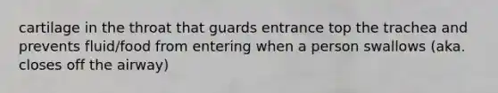 cartilage in the throat that guards entrance top the trachea and prevents fluid/food from entering when a person swallows (aka. closes off the airway)