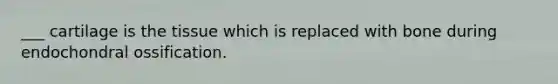 ___ cartilage is the tissue which is replaced with bone during endochondral ossification.