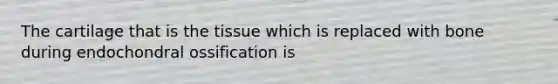 The cartilage that is the tissue which is replaced with bone during endochondral ossification is