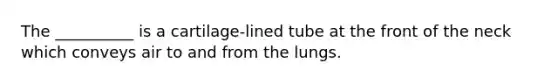 The __________ is a cartilage-lined tube at the front of the neck which conveys air to and from the lungs.