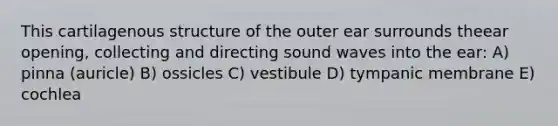 This cartilagenous structure of the outer ear surrounds theear opening, collecting and directing sound waves into the ear: A) pinna (auricle) B) ossicles C) vestibule D) tympanic membrane E) cochlea