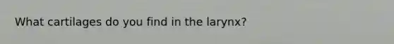 What cartilages do you find in the larynx?