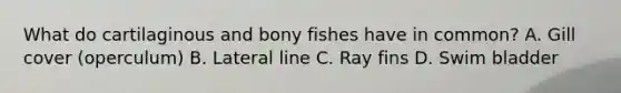 What do cartilaginous and bony fishes have in common? A. Gill cover (operculum) B. Lateral line C. Ray fins D. Swim bladder